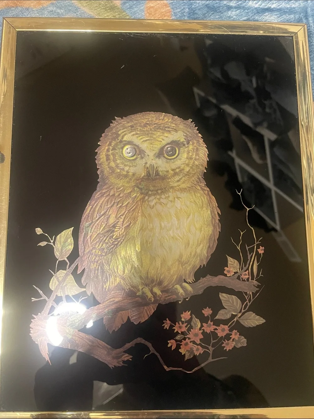 Framed Golden Owl Wall Art - Black Background